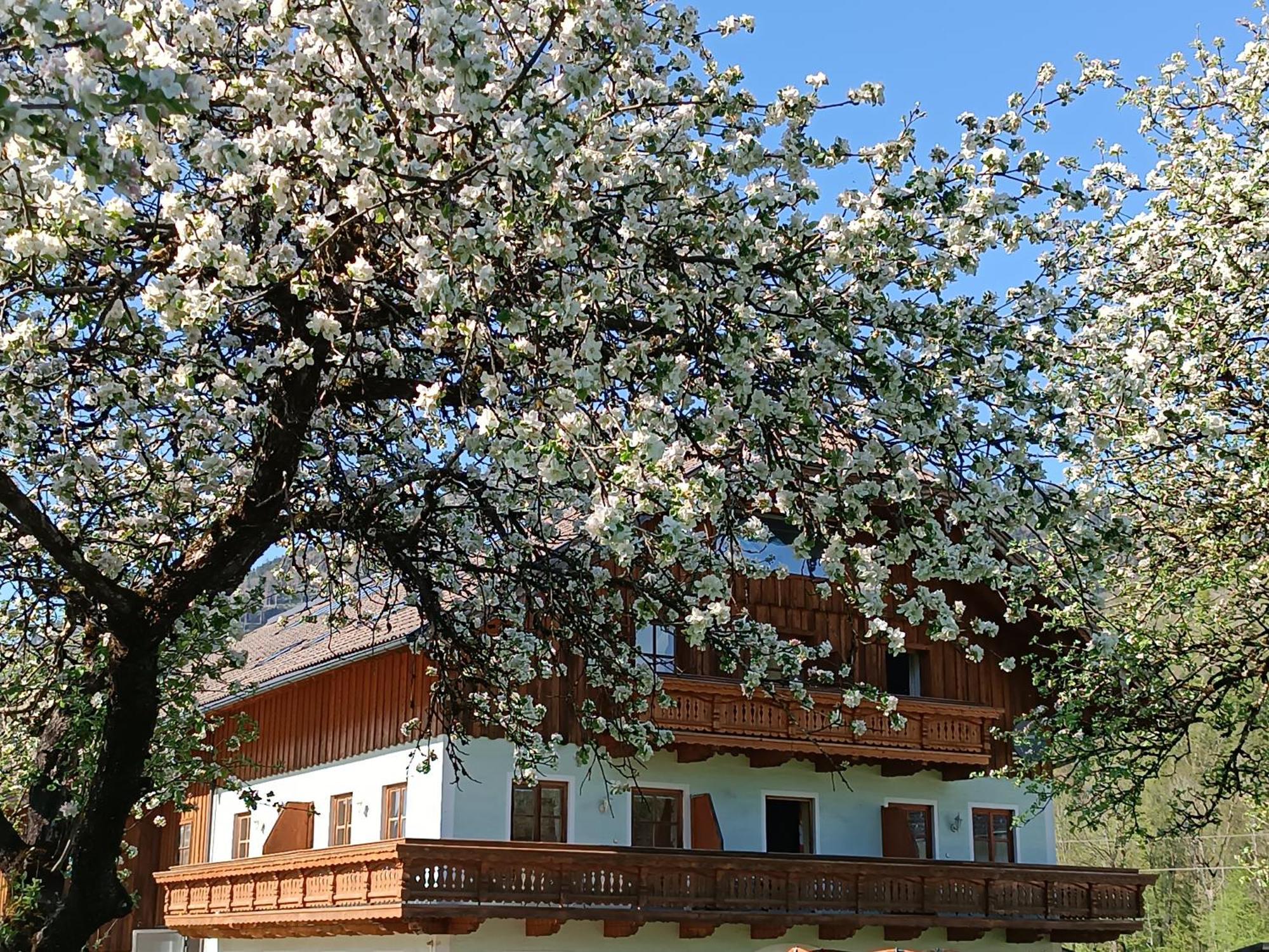 Hintererhof Hintersee Exterior foto