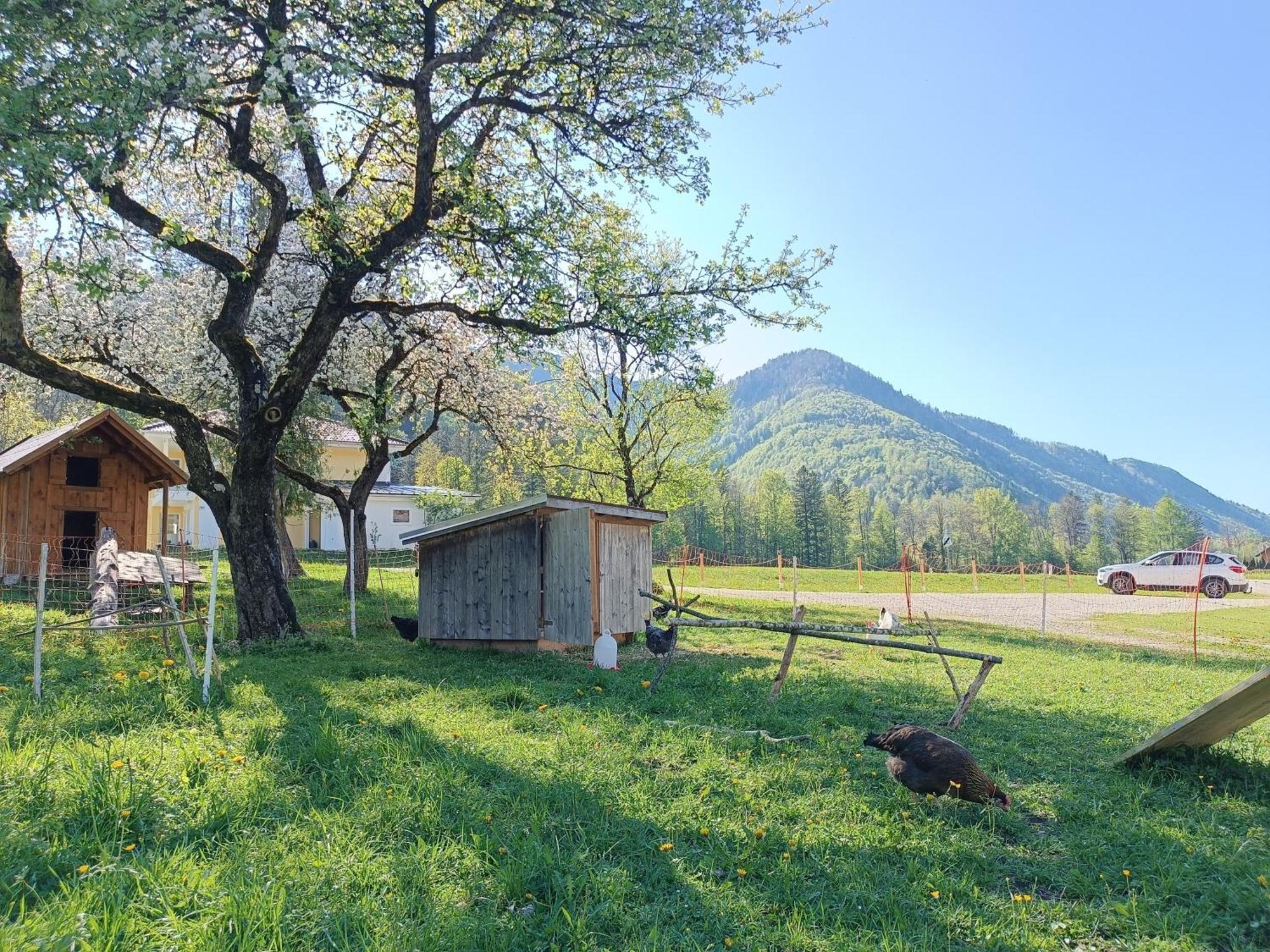 Hintererhof Hintersee Exterior foto