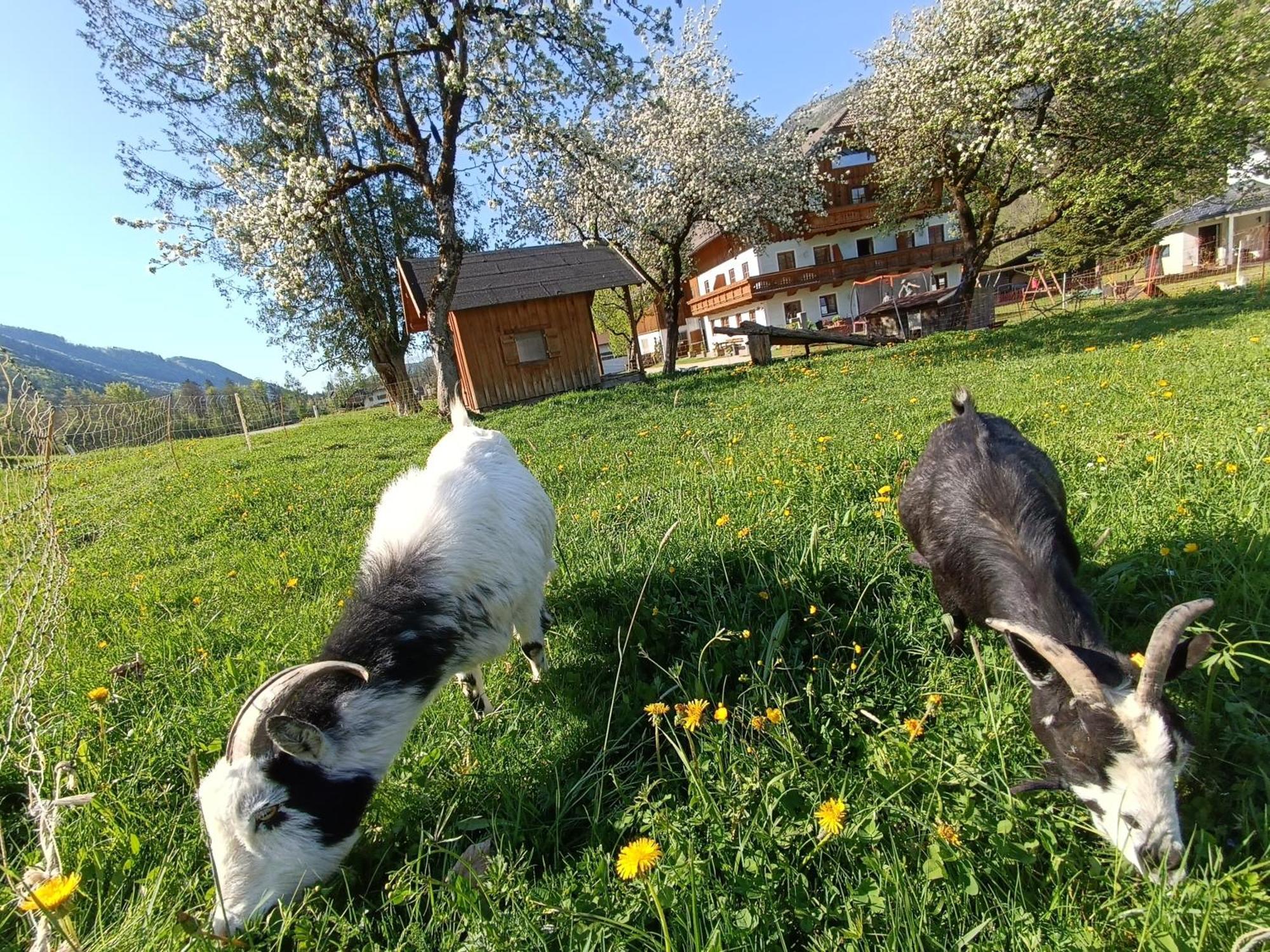 Hintererhof Hintersee Exterior foto