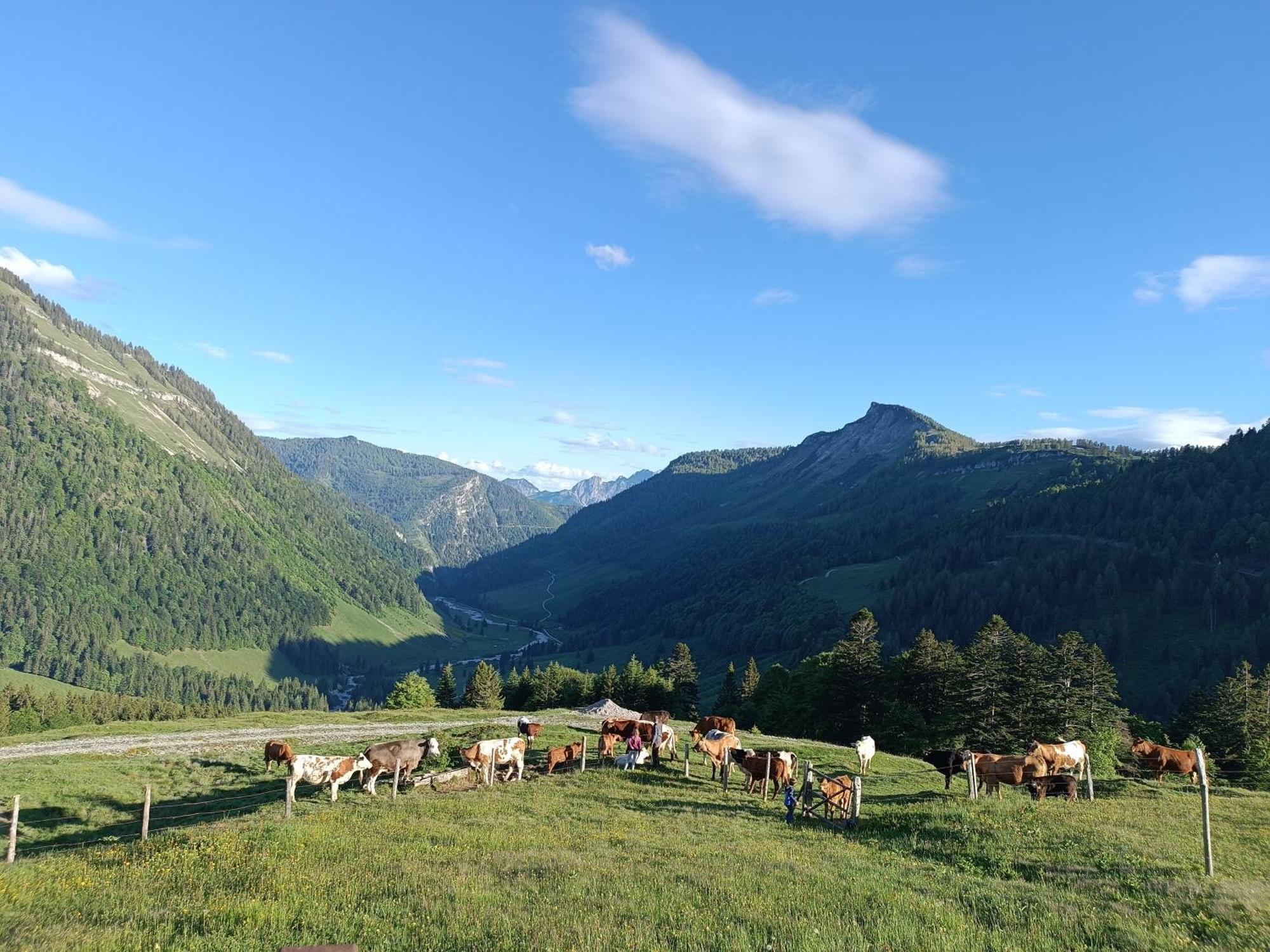 Hintererhof Hintersee Exterior foto